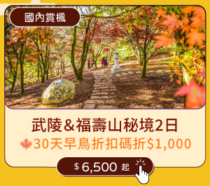 【國內賞楓】武陵＆福壽山秘境2日
